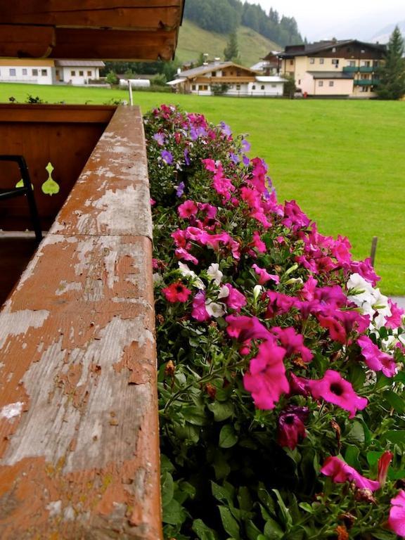 Ski & Bike Pension Maria Saalbach-Hinterglemm Exteriér fotografie