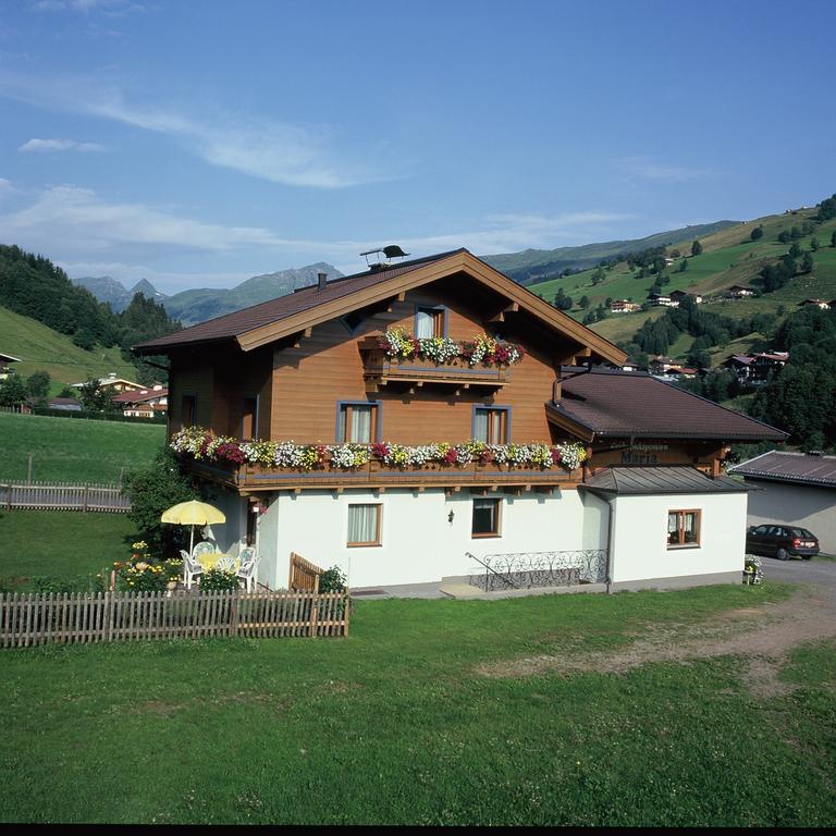Ski & Bike Pension Maria Saalbach-Hinterglemm Exteriér fotografie